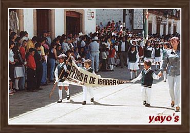 Escuela Primaria  Pedro A. de Ibarra (vesp.)